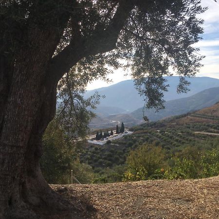 Jardin Andaluz Appart Alhambra Pinos del Valle Exterior photo