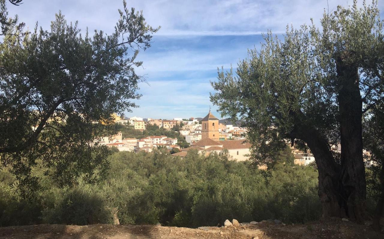 Jardin Andaluz Appart Alhambra Pinos del Valle Exterior photo